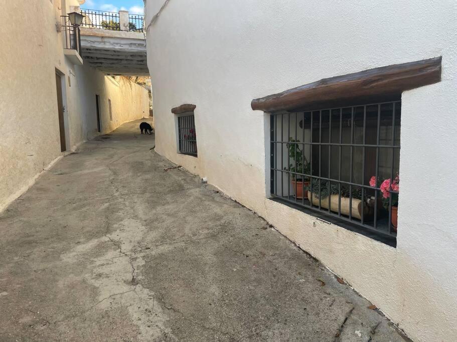 La Cuadra De Anita Villa Mecina Fondales Exteriör bild