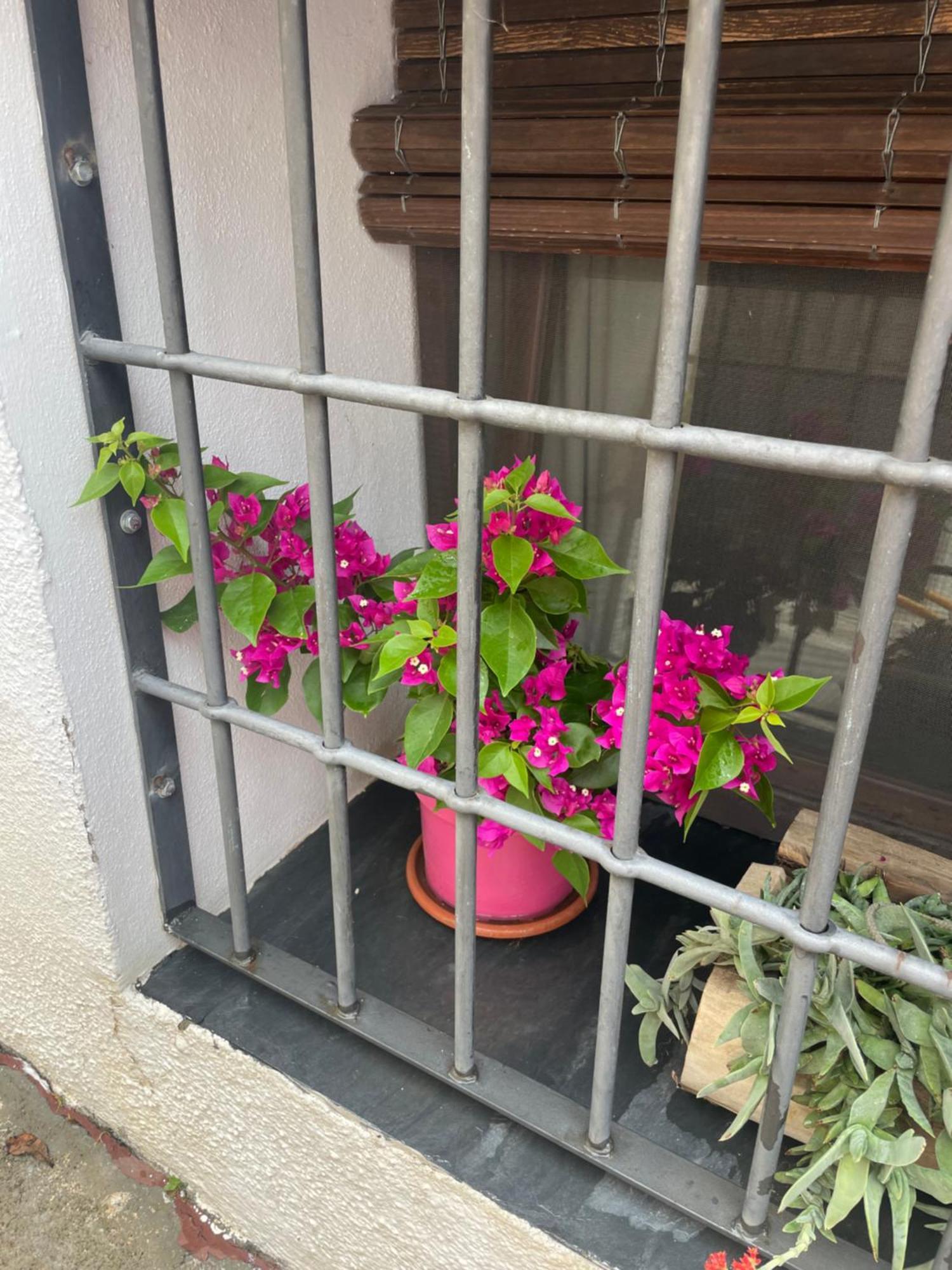 La Cuadra De Anita Villa Mecina Fondales Exteriör bild